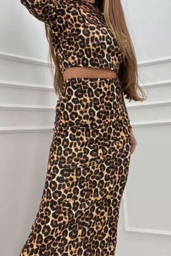 Conjunto Leopardo