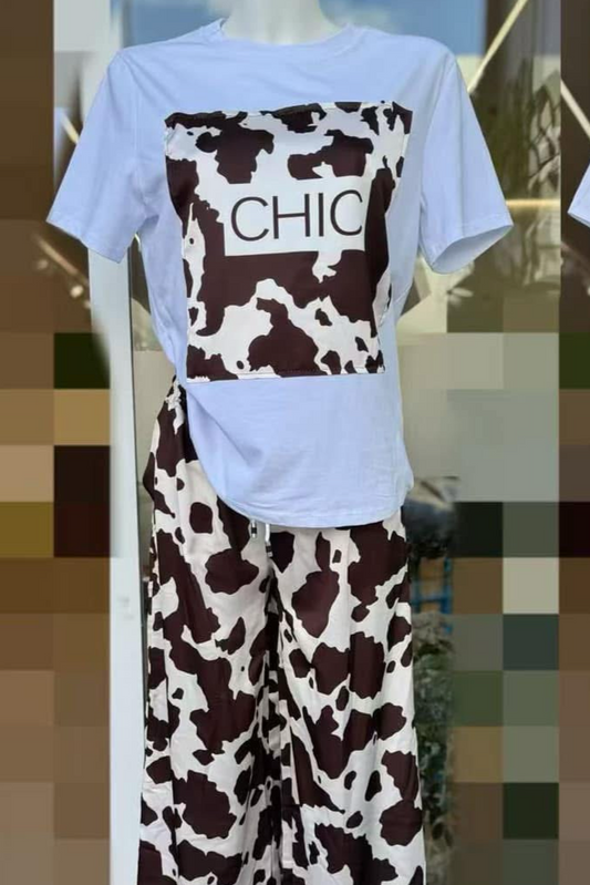 Conjunto padrão